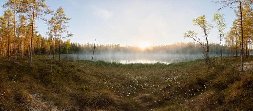 Small forest lake at sunrise