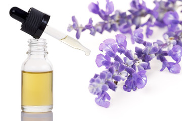 Dried lavender herb and essential aromatherapy oil.