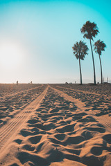 Tire tracks on west coast beach with beautiful palm trees © Felipe
