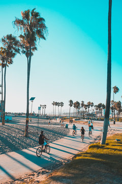 Beach Cruisers On A Bike Path In Sunny Southern California