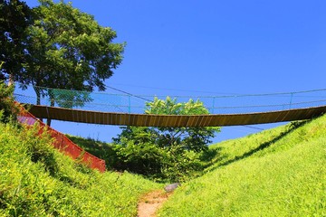 Rope small bridge