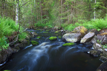 Naklejka na ściany i meble Small stream in forest