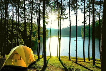 Yellow camping tents in pine tree forest by the lake at Pang Oung Lake (Pang Tong reservoir), Mae hong son, Thailand.