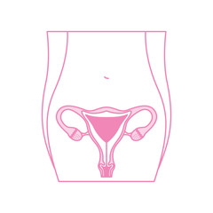 female torso with reproductive organ vector illustration design