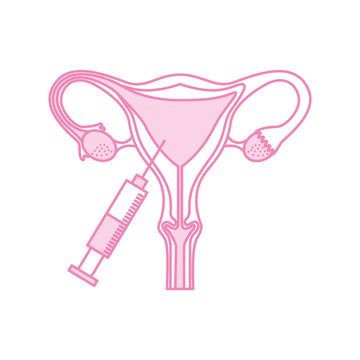 Female reproductive organ with injection vector illustration design