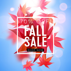 Fall sale. Realistic autumn maple leaves with text. Momiji. Vector illustration on white and blue background.