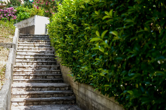 Countryside staircase in the garden © areporter