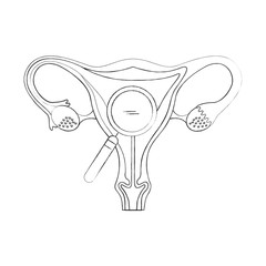 Female reproductive organ with magnifying glass vector illustration design