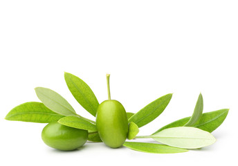Green olives with leaves