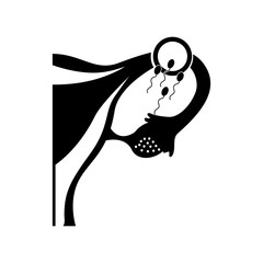 Female reproductive organ with Spermatozoa vector illustration design