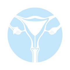 Female reproductive organ icon vector illustration design