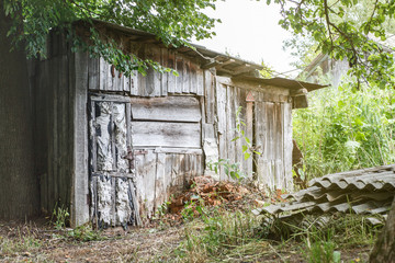 Old gray wooden shed near tall green tree, warm summer day