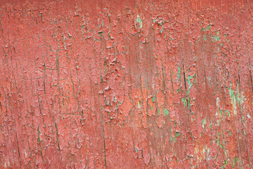 Red wooden fragment with peeled paint, macro shot