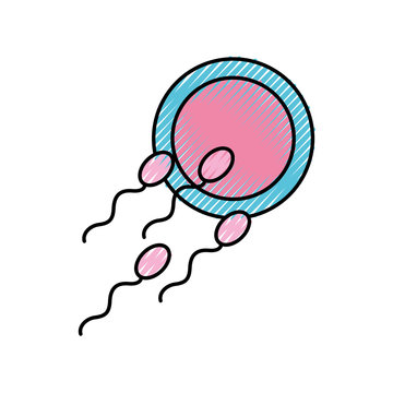 Fertilizing sperm with female symbol vector illustration design