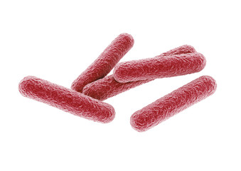 bacteria.
3d rendering of a bacteria.