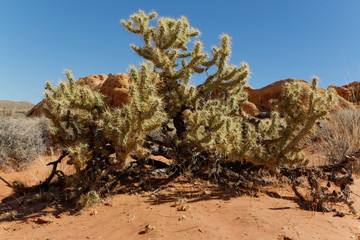 Valley Of Fire State Park