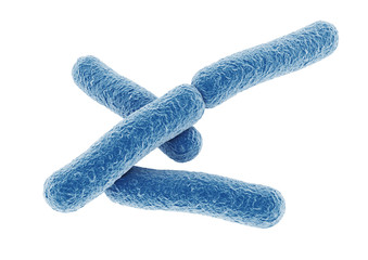 bacteria.
3d rendering of a bacteria.