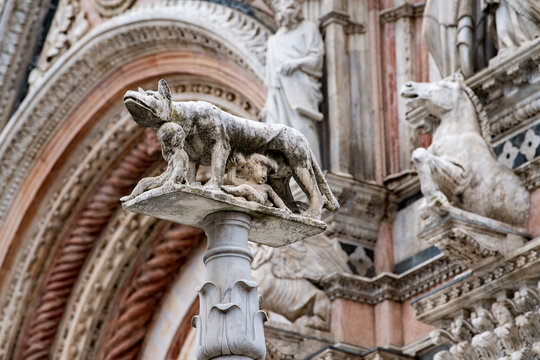 Siena dome cathedral external view detail of statue wolf with romolus and remus