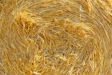 Straw Background