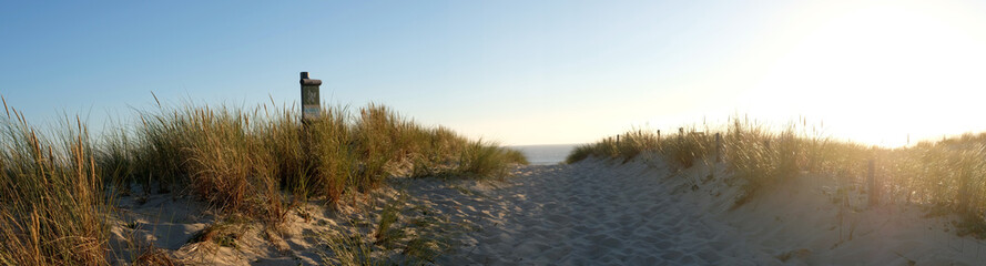 coucher de soleil dans la forêt pres de la dune de plage