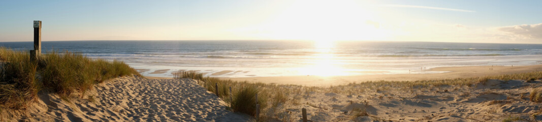 Fototapeta coucher de soleil dans la forêt pres de la dune de plage obraz