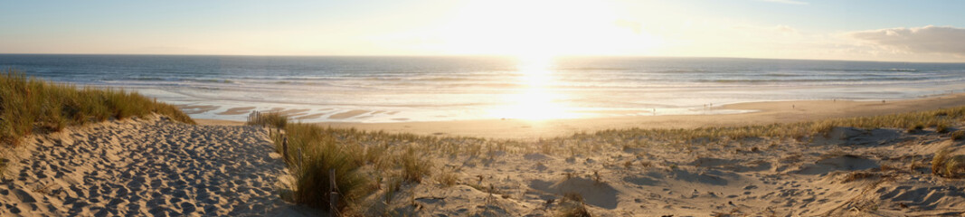 Fototapeta coucher de soleil dans la forêt pres de la dune de plage obraz