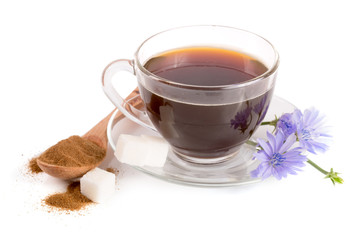 Chicory cup and chicory flower isolated on white background