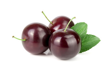 Purple plum with leaves isolated on white background