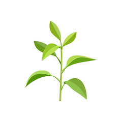 Plant with green leaves. Ecology concept. Vector illustration on white background.