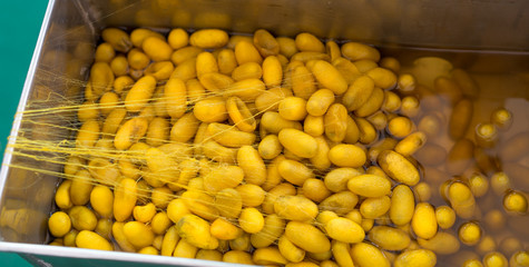 Boiling silkworm cocoon in the pot