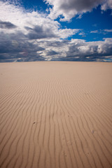Sand Hills Hawksnest