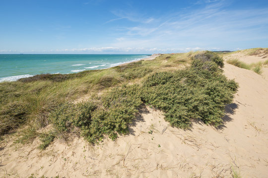 Dune landscape near Audresselles with beach at the Opal Coast