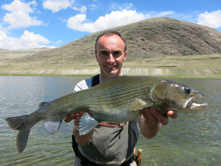 Fishing - monster grayling from west Mongolia