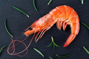 Cooked prawn with rosemary on a dark background.
