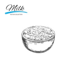 Curd. Vector hand drawn