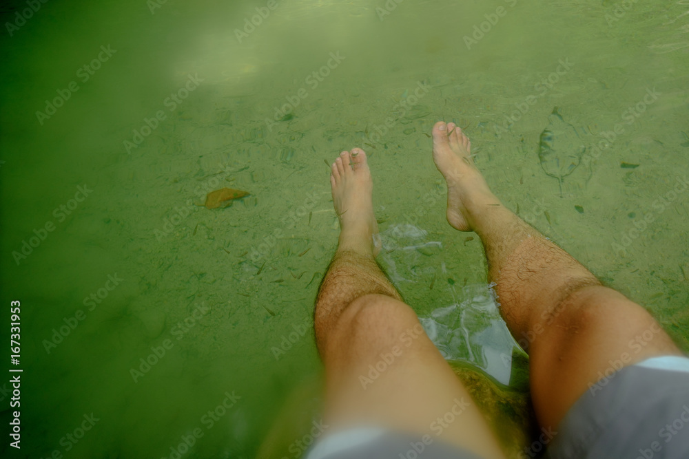 Wall mural In deep forest and pond with fish spa pedicure wellness skin care treatment also called doctor fish, nibble fish and kangal fish