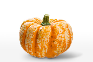 Wunderschöner oranger Kürbis auf weissem Hintergrund
