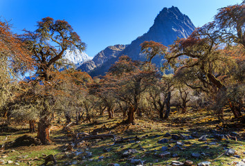 Landscape View snow of Mountain in Siguniang National Park, Sichuan, China 
