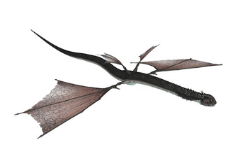 Obraz premium 3D Rendering Fantasy Snake Dragon on White