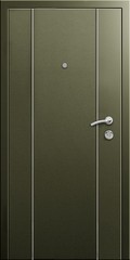 Fototapeta premium Entrance door (metal door)