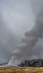 Fototapeta na wymiar Old Faithful Eruption