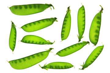 Zuckerschoten, Zuckererbse, Kefe (Pisum sativum) Schoten freigestellt vor weißem Hintergrund