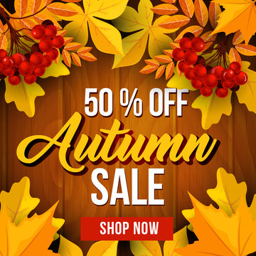 Autumn sale poster of fall season discount price