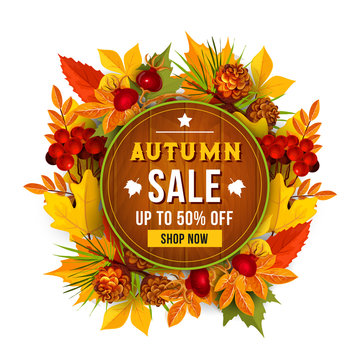 Autumn sale discount vector poster of leaf