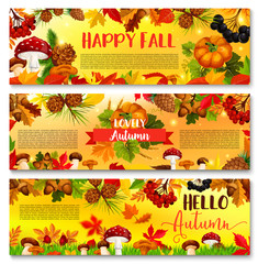 Autumn falling leaf September season vector banner