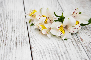 alstroemeria flowers on a table