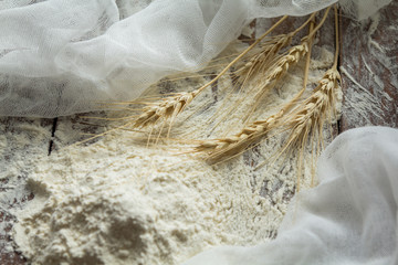 Spikelets of wheat lie on flour