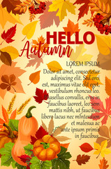 Hello Autumn banner with orange leaf and pumpkin