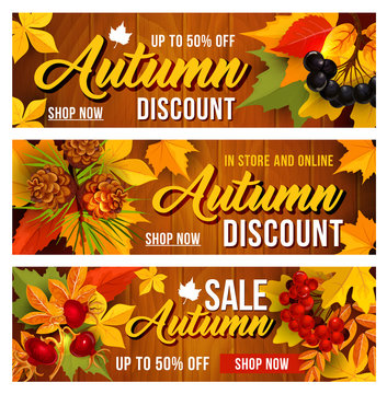 Autumn sale discount vector banners set