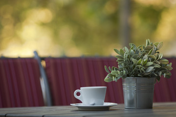 Coffee cup with flowers